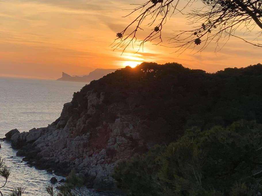 Athena Ohana, Les Pieds Dans L'Eau Bandol Kültér fotó